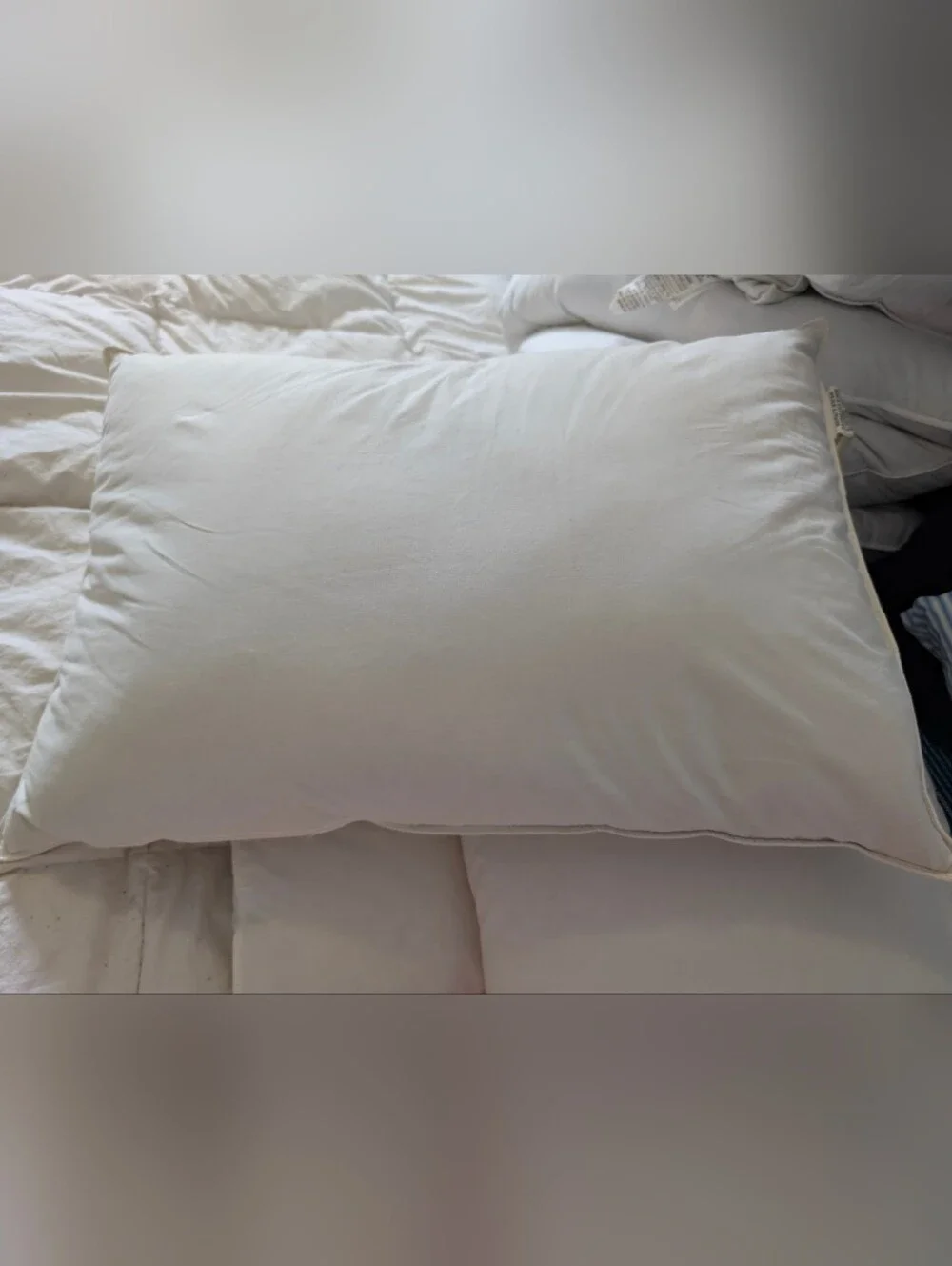 Down Dreams Classic Down Queen Pillow